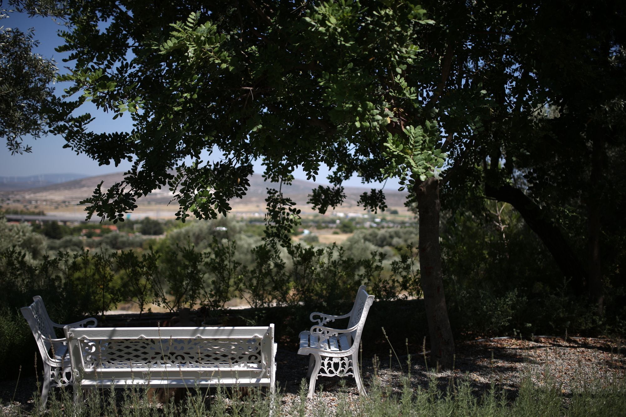 Villa Taraca Alacati Romantik Otel (Adults Only) Exterior photo